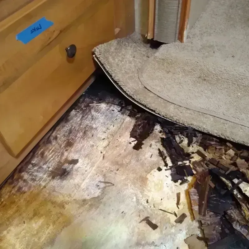 Best Wood Floor Water Damage Service in Broomall, PA